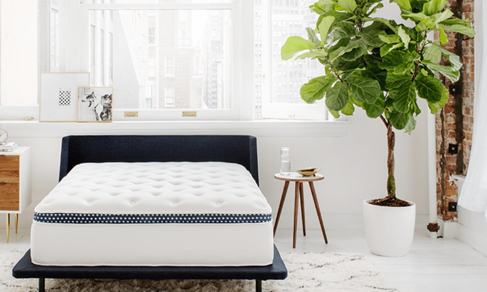 best type of mattress for motion isolation