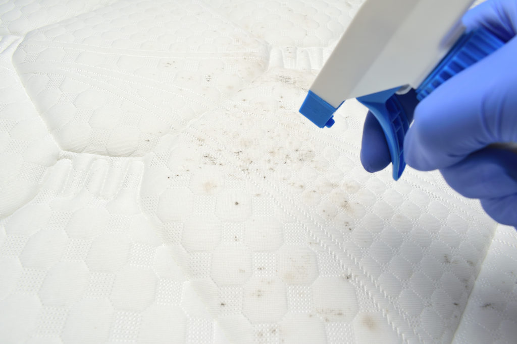 Spray cleaning mattress